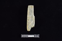 錛鑿形器藏品圖，第2張
