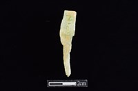 錛鑿形器藏品圖，第2張