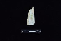 錛鑿形器藏品圖，第2張