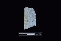 錛鑿形器藏品圖，第2張