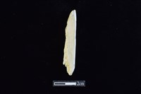 錛鑿形器藏品圖，第1張