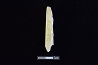 錛鑿形器藏品圖，第2張