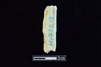 錛鑿形器藏品圖，第1張