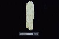 錛鑿形器藏品圖，第2張