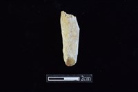 錛鑿形器藏品圖，第1張
