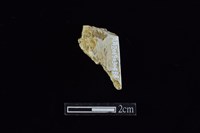 錛鑿形器藏品圖，第1張