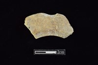 玉環藏品圖，第2張