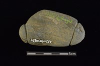 網墜藏品圖，第2張