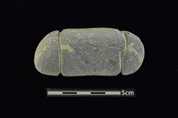 網墜藏品圖，第1張