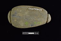 網墜藏品圖，第2張