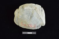 網墜藏品圖，第2張