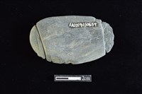 網墜藏品圖，第2張