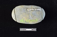 網墜藏品圖，第2張