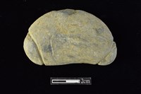 網墜藏品圖，第1張