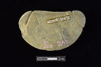 網墜藏品圖，第2張