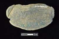 網墜藏品圖，第2張