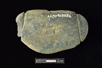 網墜藏品圖，第2張