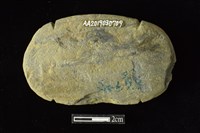 網墜藏品圖，第2張