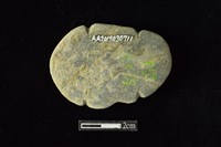 網墜藏品圖，第2張