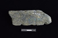 網墜藏品圖，第2張