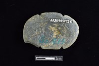 網墜藏品圖，第2張