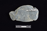 網墜藏品圖，第2張