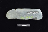 網墜藏品圖，第2張