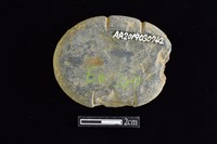 網墜藏品圖，第2張