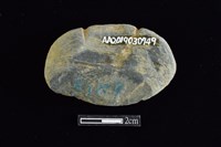 網墜藏品圖，第2張