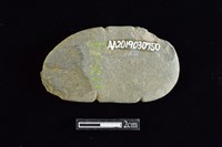 網墜藏品圖，第2張