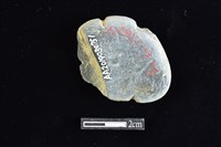 網墜藏品圖，第2張