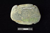 網墜藏品圖，第2張