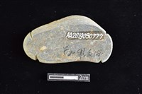 網墜藏品圖，第2張