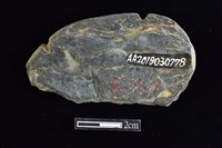 網墜藏品圖，第2張