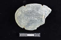 網墜藏品圖，第1張