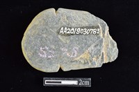 網墜藏品圖，第2張