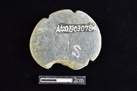 網墜藏品圖，第2張