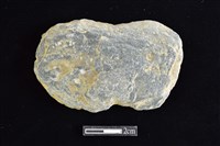 網墜藏品圖，第1張