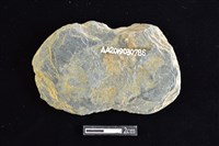 網墜藏品圖，第2張