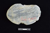 網墜藏品圖，第1張