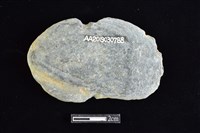 網墜藏品圖，第2張