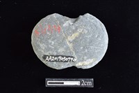 網墜藏品圖，第2張