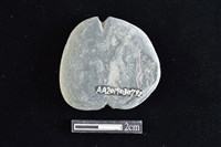 網墜藏品圖，第2張