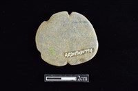 網墜藏品圖，第2張