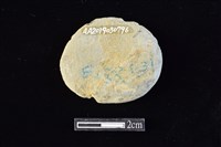 網墜藏品圖，第2張