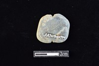 網墜藏品圖，第2張