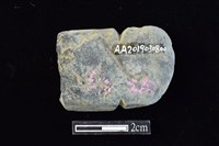 網墜藏品圖，第2張