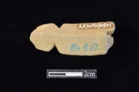 網墜藏品圖，第2張