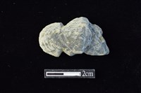 網墜藏品圖，第1張