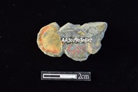 網墜藏品圖，第2張